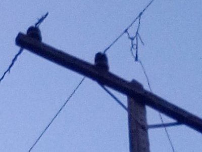 Niño muere electrocutado por cable suelto en Caaguazú