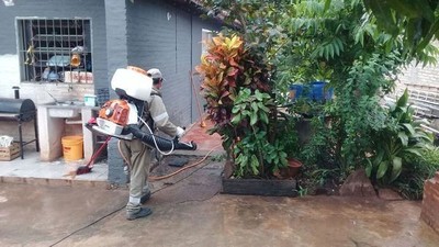 Dengue: notificaciones superan las 1.200 por semana