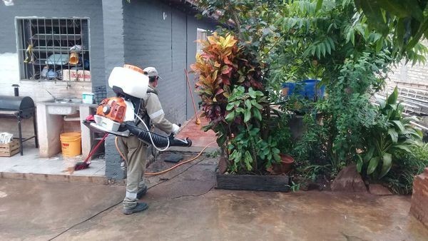 Dengue: notificaciones superan las 1.200 por semana