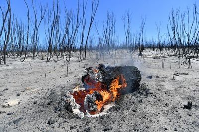 Los bomberos australianos libran batalla contrarreloj ante nueva subida de temperaturas - Mundo - ABC Color