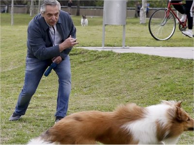 Dylan, el perro de Alberto Fernández, cumplió años y el mandatario lo saludó en redes
