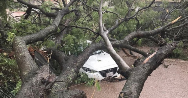 Enero será el mes de las tormentas