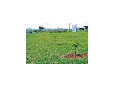 Cordillera: Reforestan ex eucaliptal con   tajy