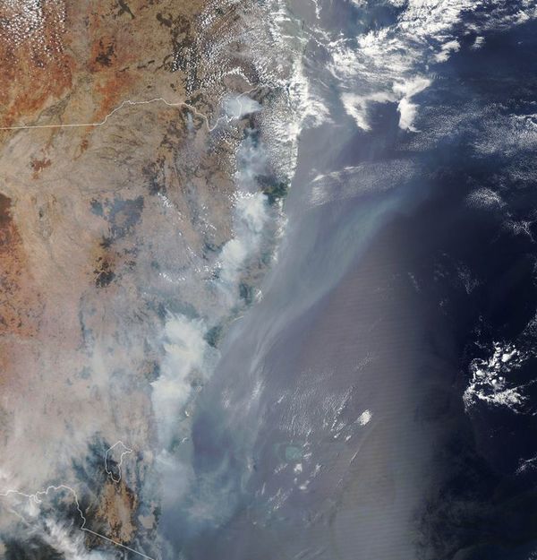 Incendios en Australia: Lo que un turista necesita saber - Viajes - ABC Color