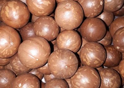 Nuez de macadamia y soja envasada, al Asia