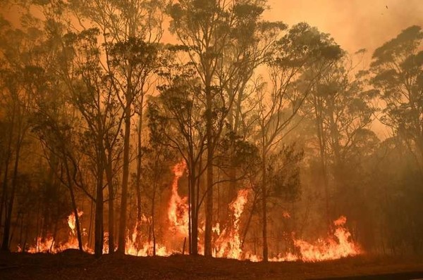 Suben a 26 los muertos por los incendios forestales en Australia » Ñanduti