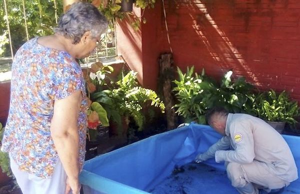 Advierten que epidemia de dengue será una de las más grandes en años - Nacionales - ABC Color