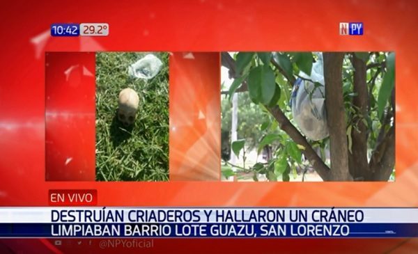 Macabro hallazgo durante eliminación de criaderos de mosquitos