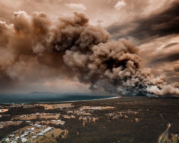 Cobró por sus 'nudes' para combatir los incendios en Australia | Noticias Paraguay