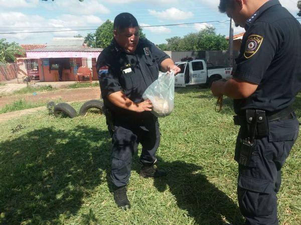 Hallan un cráneo mientras limpiaban plaza de San Lorenzo - Nacionales - ABC Color