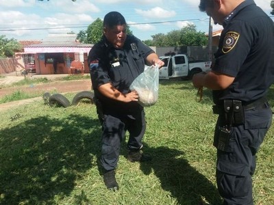 San Lorenzo: en medio de la minga realizada, funcionarios hallaron un cráneo humano