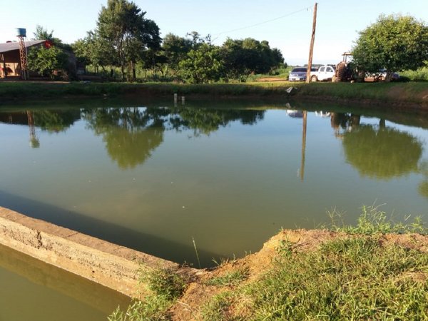 Los Cedrales: Hombre muere ahogado en tajamar