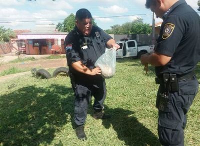 Hallan cráneo mientras limpiaban una plaza - Judiciales y Policiales - ABC Color