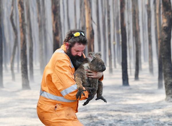 Ola de calor atiza los incendios en Australia - Internacionales - ABC Color