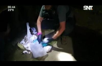 Mujer con capacidades diferentes atrapada con drogas - SNT