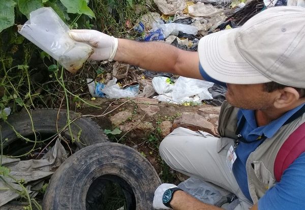 ¿A dónde recurro, si quiero denunciar criaderos de mosquitos en mi barrio?
