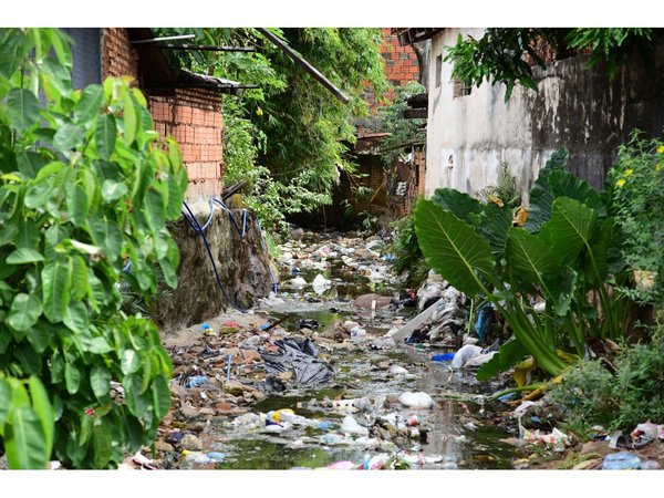 Salud registra casos de dengue en el 80% de los barrios de Asunción