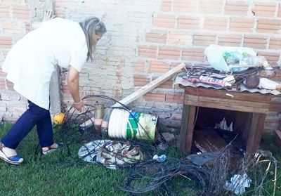 Mario Abdo ordena trabajo interinstitucional para combatir el dengue - Nacionales - ABC Color