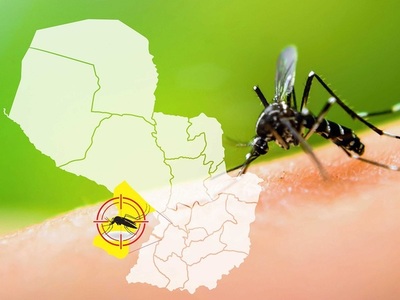 Dengue: radiografía de una epidemia en ascenso