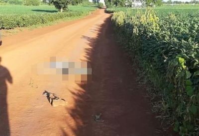 Hallan cuerpo de agricultor con rastros de violencia en Minga Porã - Nacionales - ABC Color