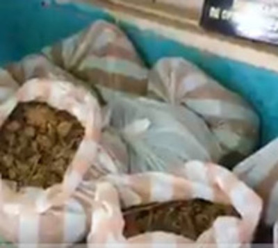 Hallan varias bolsas de drogas en una vivienda  - Paraguay.com