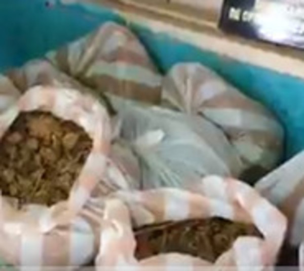 Hallan varias bolsas de drogas en una vivienda - Paraguay.com
