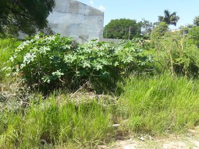 Denuncian a funcionario municipal por tener terreno sucio y abandonado - Nacionales - ABC Color