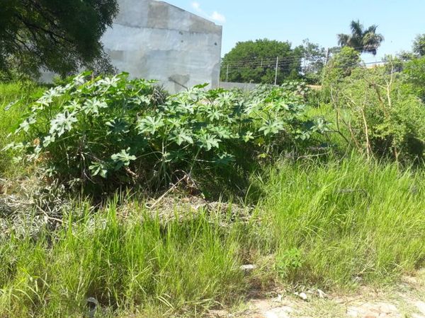 Denuncian a funcionario municipal por tener terreno sucio y abandonado - Nacionales - ABC Color