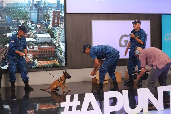 Canes antibombas son compañeros leales que arriesgan sus vidas