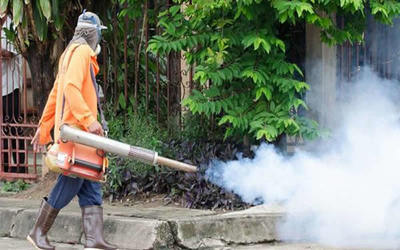 Senepa niega que usa productos vencidos para fumigar