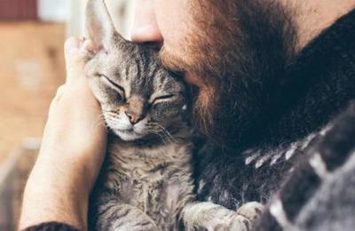 Estudio explica por qué los ateos tienen más probabilidades de criar mascotas que los creyentes - SNT
