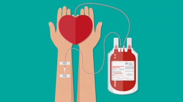 HOY / Un donante de sangre salva 3 vidas; el drama es que casi nadie dona lanzan SOS