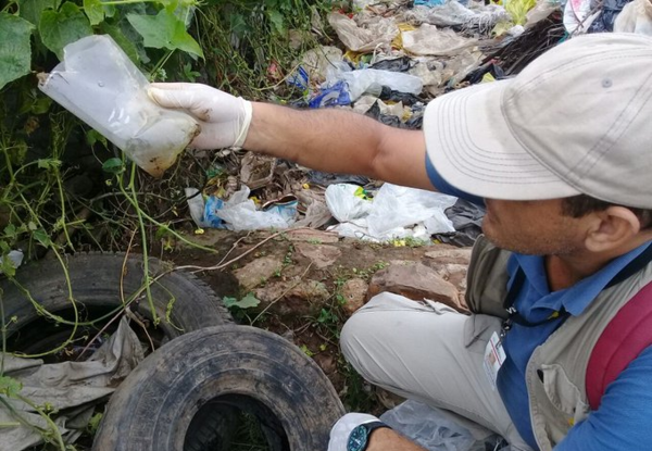 HOY / Declaran emergencia en Asunción y Central ante aumento de casos de dengue