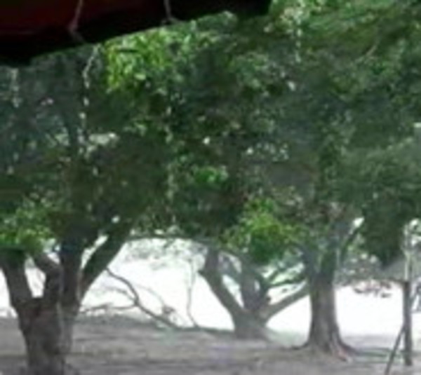 Alerta meteorológica en el sur del país - Paraguay.com