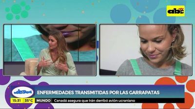 Enfermedades transmitidas por las garrapatas - Ensiestados - ABC Color