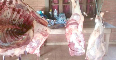 Ladrones de vacas causan estragos voi