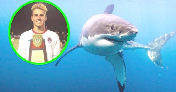 Futbolista fue “tragado” por tiburón en Australia