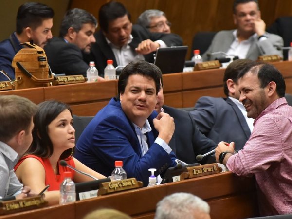 Diputados colorados tienen en sus manos definición de financiamiento