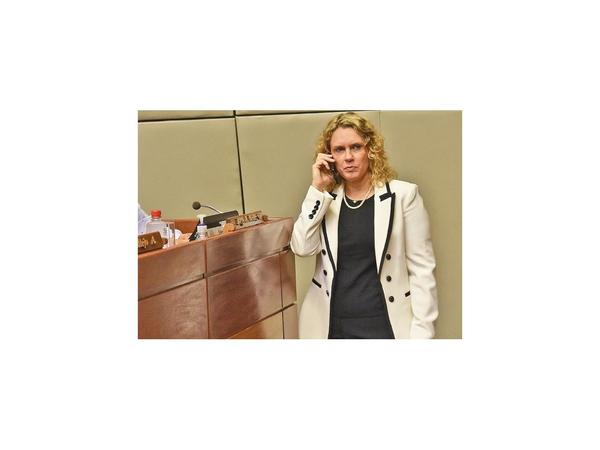 Diputada cuestiona temor en torno a la ley de financiamiento