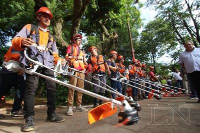 Guerra contra el dengue: Debemos eliminarlo, o él nos elimina
