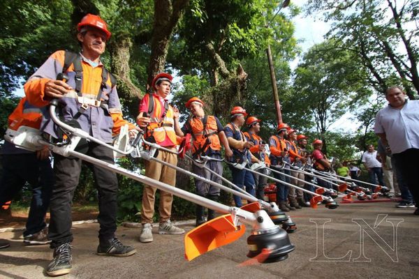 Guerra contra el dengue: Debemos eliminarlo, o él nos elimina