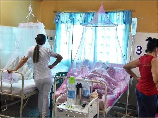 Salud aguarda informe sobre cuarto caso sospechoso de muerte por dengue