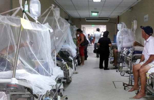 Salud espera informe sobre casos sospechosos de muerte por Dengue
