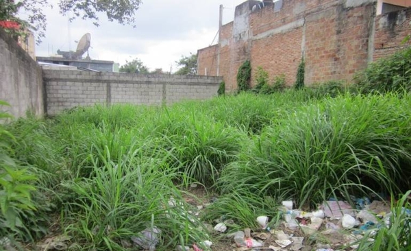 HOY / Dengue: propietarios de inmuebles abandonados en la mira, se exponen a multas millonarias