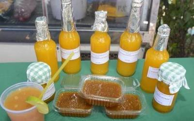 La séptima edición del festival del mango se realiza en Areguá | .::Agencia IP::.