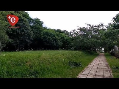B° CIUDAD NUEVA: VECINOS ATRAPARON A UN LADRÓN Y PIDEN MÁS SEGURIDAD