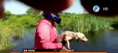 Heroico rescate de un perrito en Vallemí | Noticias Paraguay