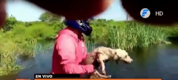 Heroico rescate de un perrito en Vallemí | Noticias Paraguay