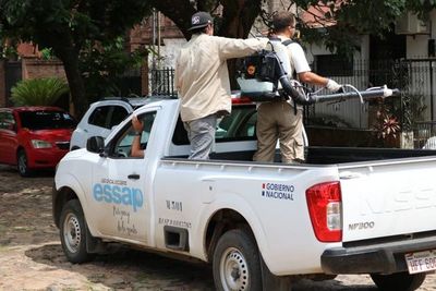 Intensifican tareas de fumigación para combatir el dengue - Nacionales - ABC Color