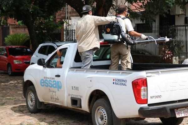 Intensifican tareas de fumigación para combatir el dengue - Nacionales - ABC Color